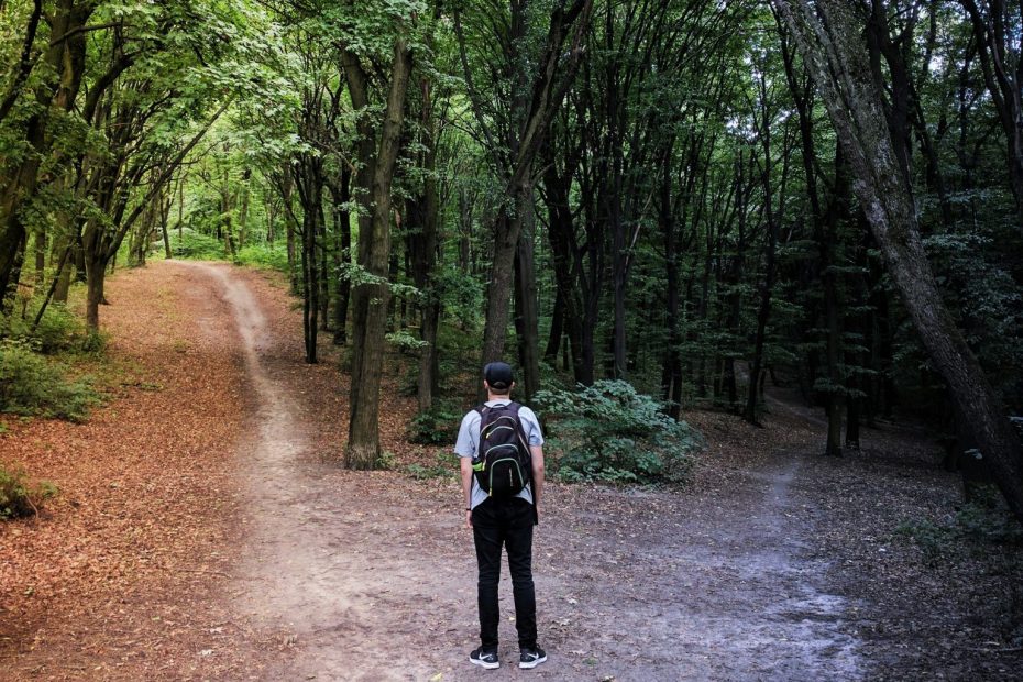 Man with rucksack in forest, standing at the point where the path he is on splits into two paths.